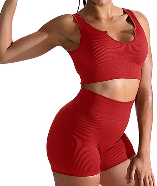 Workout Sets for Women 2 Piece Seamless Ribbed Sports Bra Tight Shorts Running Fitness Outfit Yoga Gym Suit